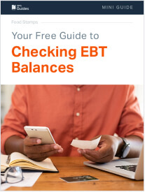 Checking EBT Balances